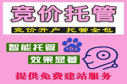 竞价推广实战：成功案例背后的技巧揭秘